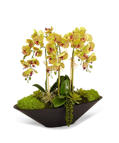 Orchids in Large Metal Container