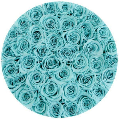 Tiffany Blue Roses - Grande