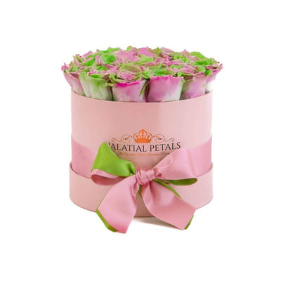 Tropical Roses That Last A Year - Classic Rose Box