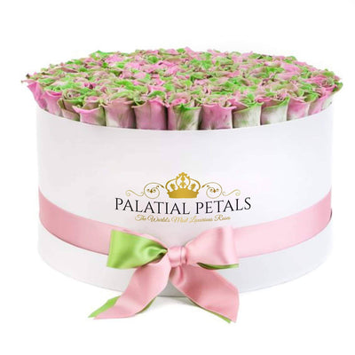 Tropical Roses That Last A Year - Deluxe Rose Box