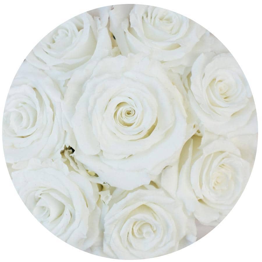 Compact White Roses White Roses That Last A Year - Petite Rose Box – Palatial Petals