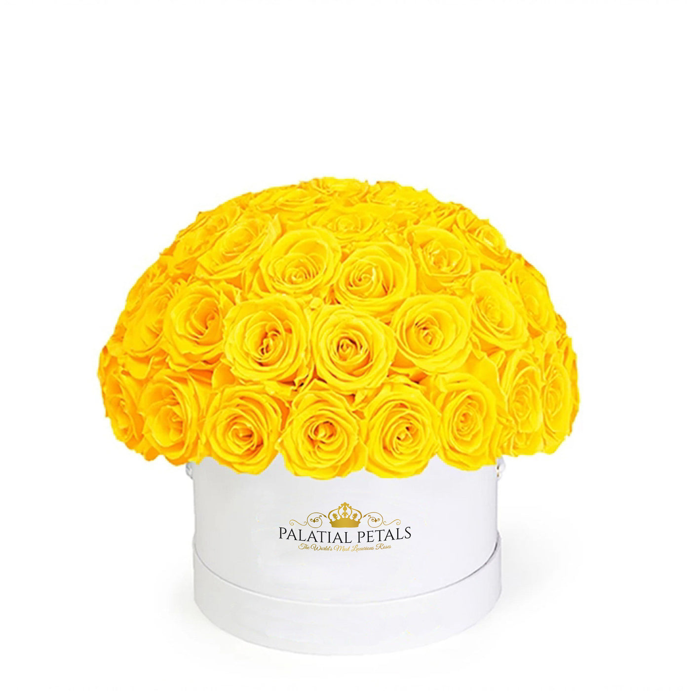 Yellow Roses That Last A Year - Classic Rose "Crown"